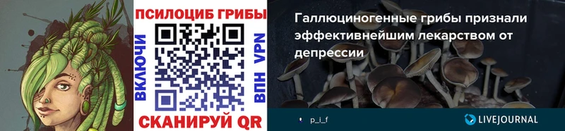 Галлюциногенные грибы GOLDEN TEACHER  Томари 