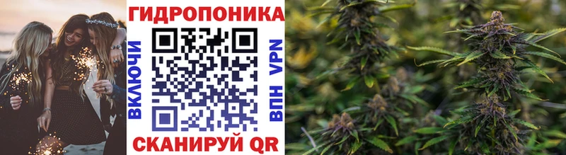 Канабис гибрид  как найти   Томари 